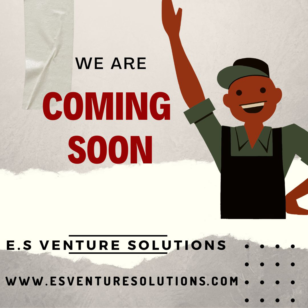 ES Venture Solutions